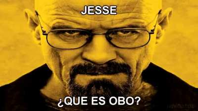 q es obo&iquest;