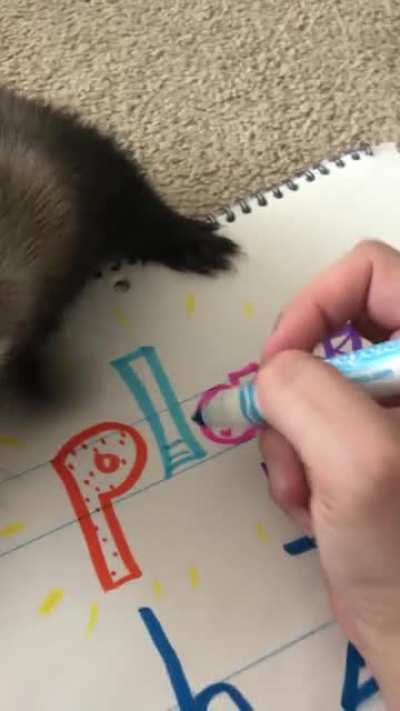 World&rsquo;s best teaching assistants