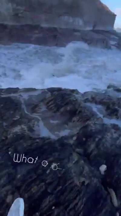 Ocean, surprise surprise&hellip; 😳