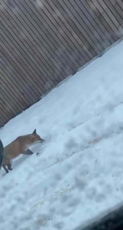 Nature is beautiful