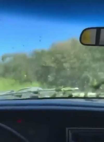 I&rsquo;m thinking this is a jeep based off the steering wheel. I just need confirmation.