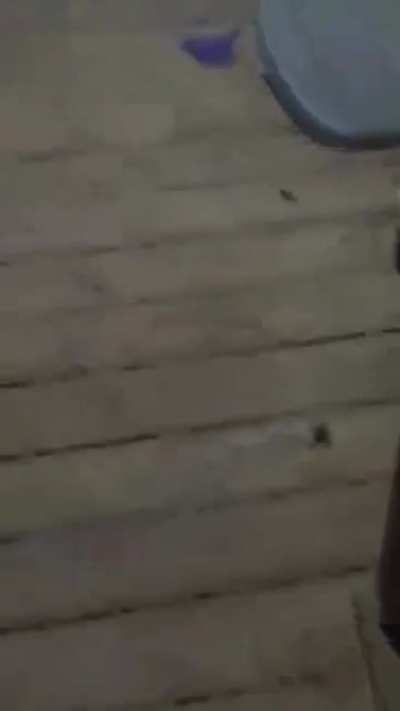 Kar98 Vs Spider