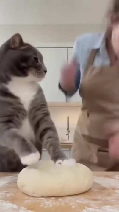 let&rsquo;s make bread!!