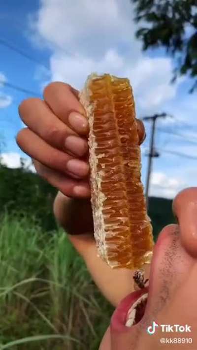 Cronchy (sorry if it&rsquo;s been posted already, was scrolling and saw this)