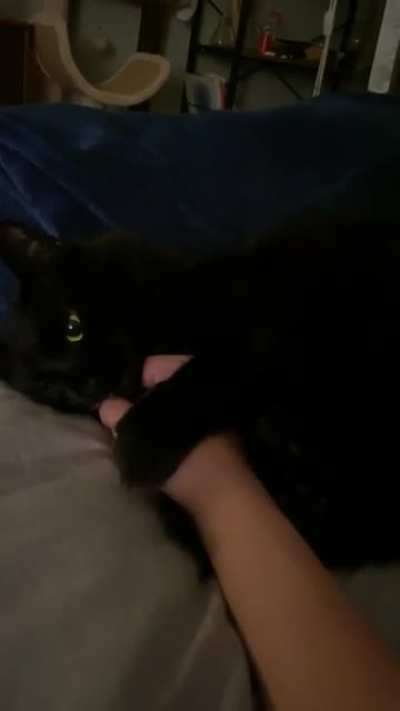 she&rsquo;s toothless until i try to take my hand back
