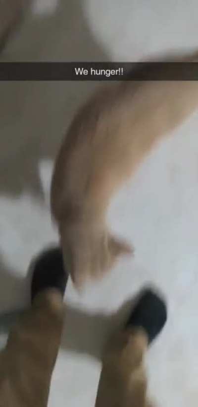 Give food