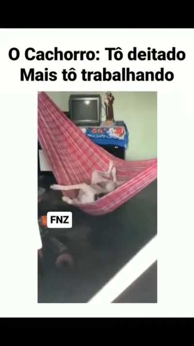 "T&ocirc; deitado, mas t&ocirc; trabalhando" :D 