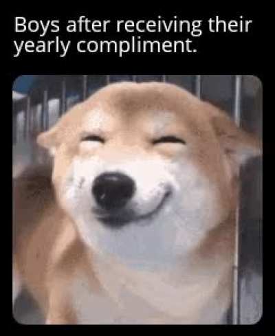 Meirl
