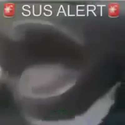 SUS