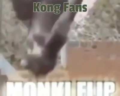 MONKI FLIP