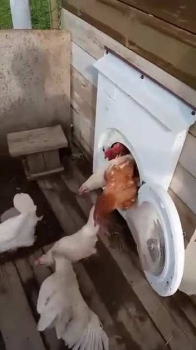 Приспособил