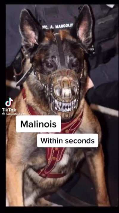 Lethal weapon