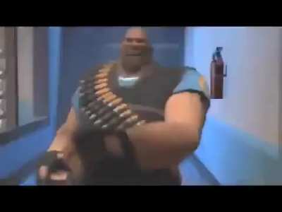 Ytp Bot Fly Larvae