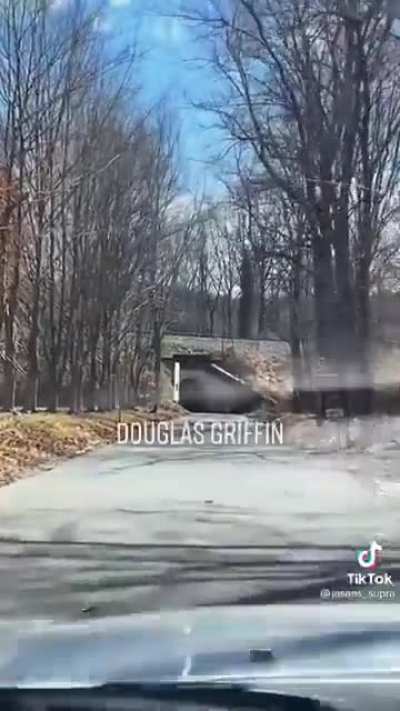 Cool TikTok clip I found today, thought the subreddit would enjoy this guy&rsquo;s posting as much as I do ...