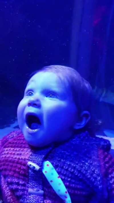 First visit to the aquarium and its safe to say, I think it blew her mind.