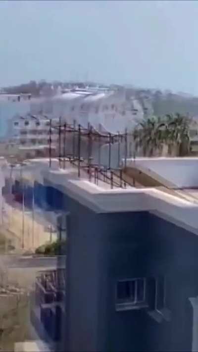 roof dog!