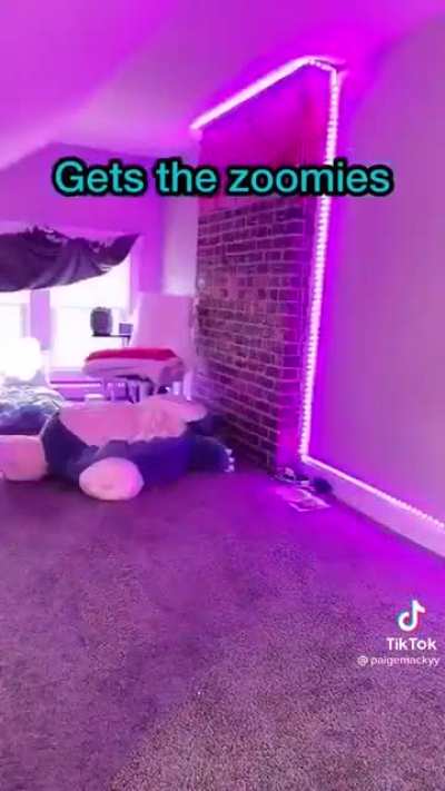 how do people laugh at this .