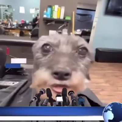 What's it like to hold a gyat of someone you love?