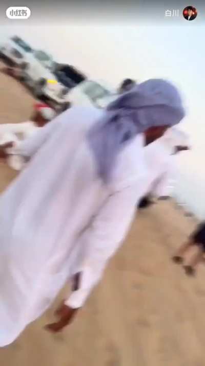 I think it is time to advocate "Arabi chini bhai bhai"