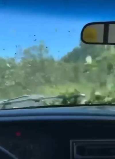 omw