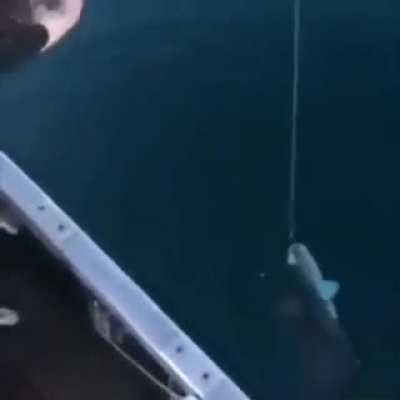 Fishing 🐟