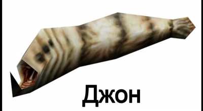 Ω