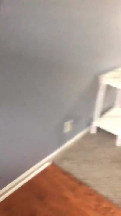 Wife couldn’t wait for hubby to get home to fuck black bull. They started before poor cuck hubby could get home from work like they planned. Cuck was pissed but still turned on. Click redgifs link for audio.