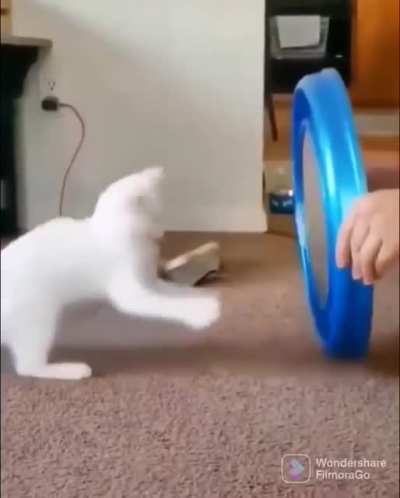 Eyes on target