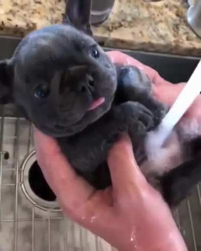 Doing the dishes