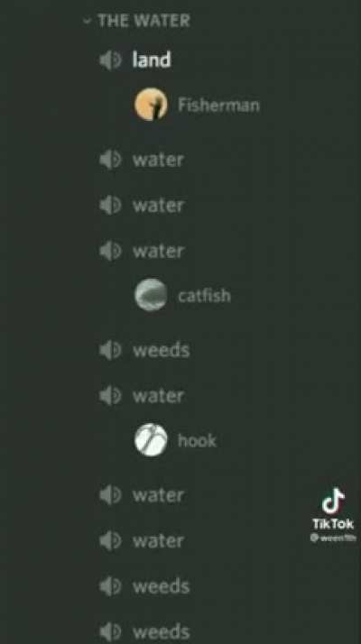 🐟🐟🐟