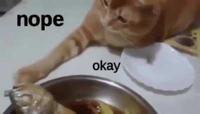 I&rsquo;mma toucha da fishy ok?