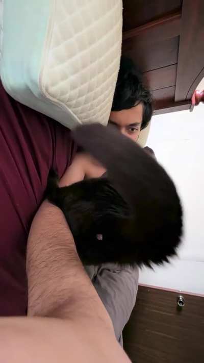 Every morning