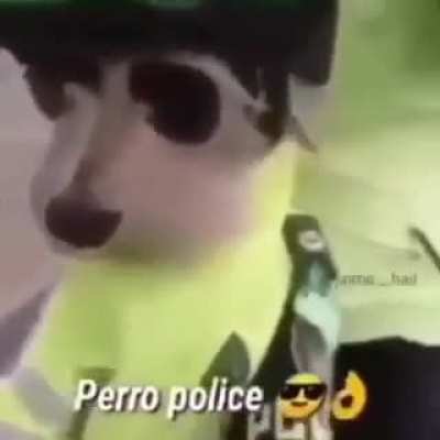 Perrito policia&amp;lt;&amp;lt;33