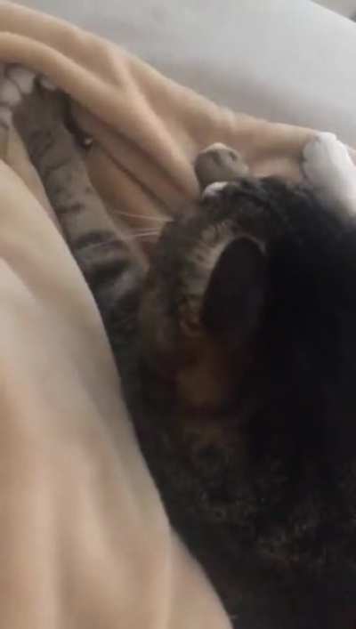 A good massager.