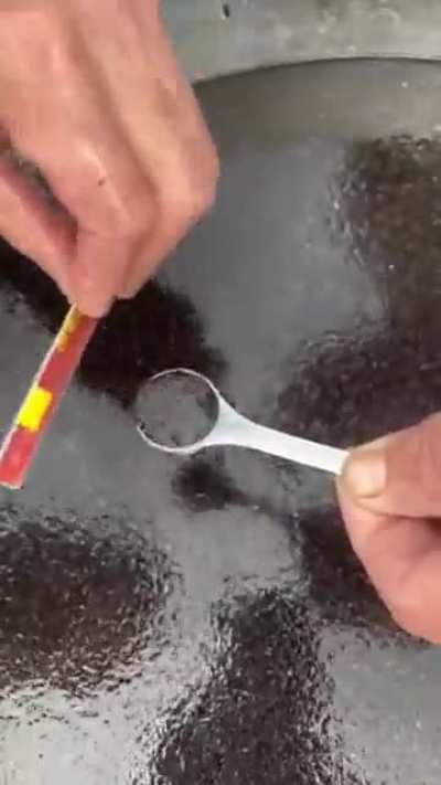 Forbidden Black Sesame Soup (fish fry?)