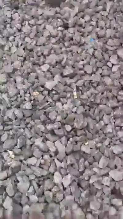 Boy Hit By Speeding Train While Making Insta Reel!
