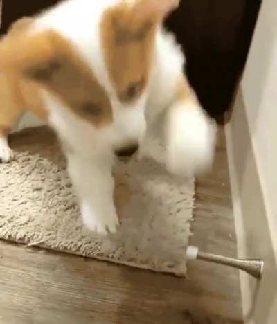 Her Best Toy Ever!!!