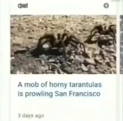 Oh shit