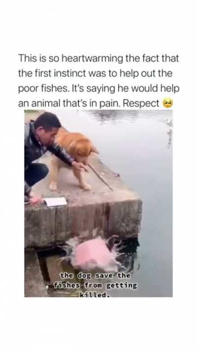 Heartwarming
