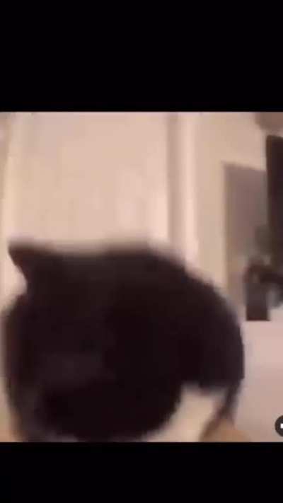 cat edit muito foda