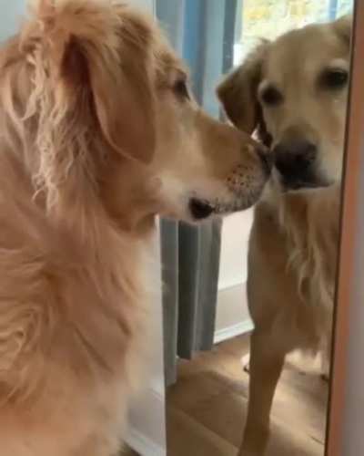 What&rsquo;s your problem, bro?