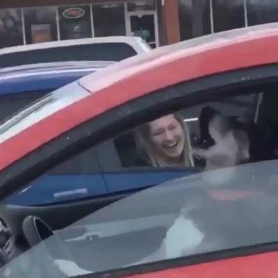 Can&rsquo;t get mad at the dog