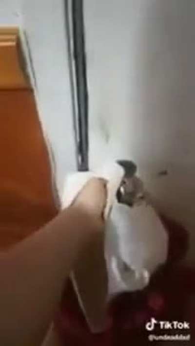 blursed_kiss