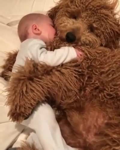 Cuddles 🌸