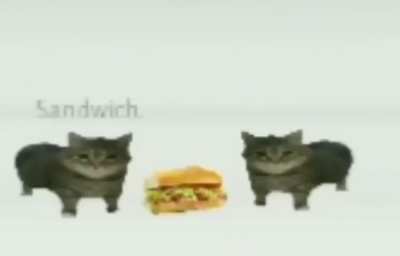 this is a sandwich