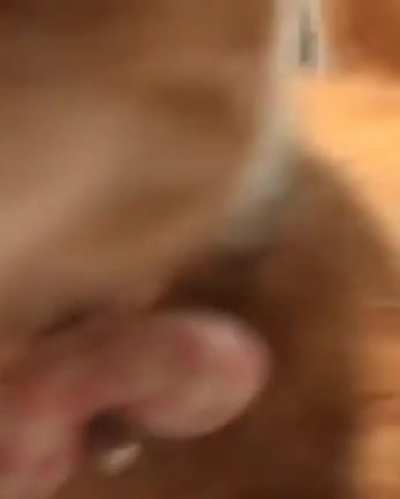 Oh lawd he coming