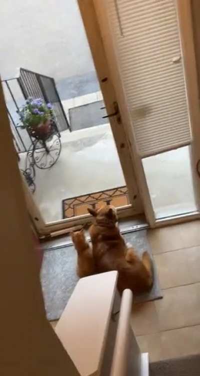 &ldquo;Why are you guys so f***ing cute?!&rdquo;