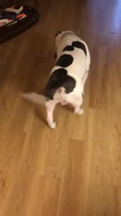 He&rsquo;s so grateful for getting one of his favorite snacks
