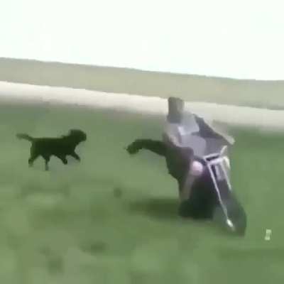 Title
