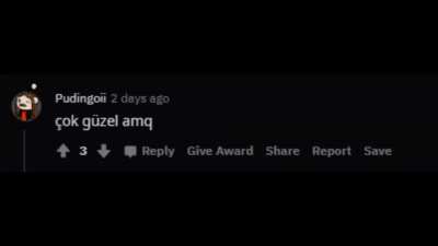 Por&ccedil;ay REEE Derleme